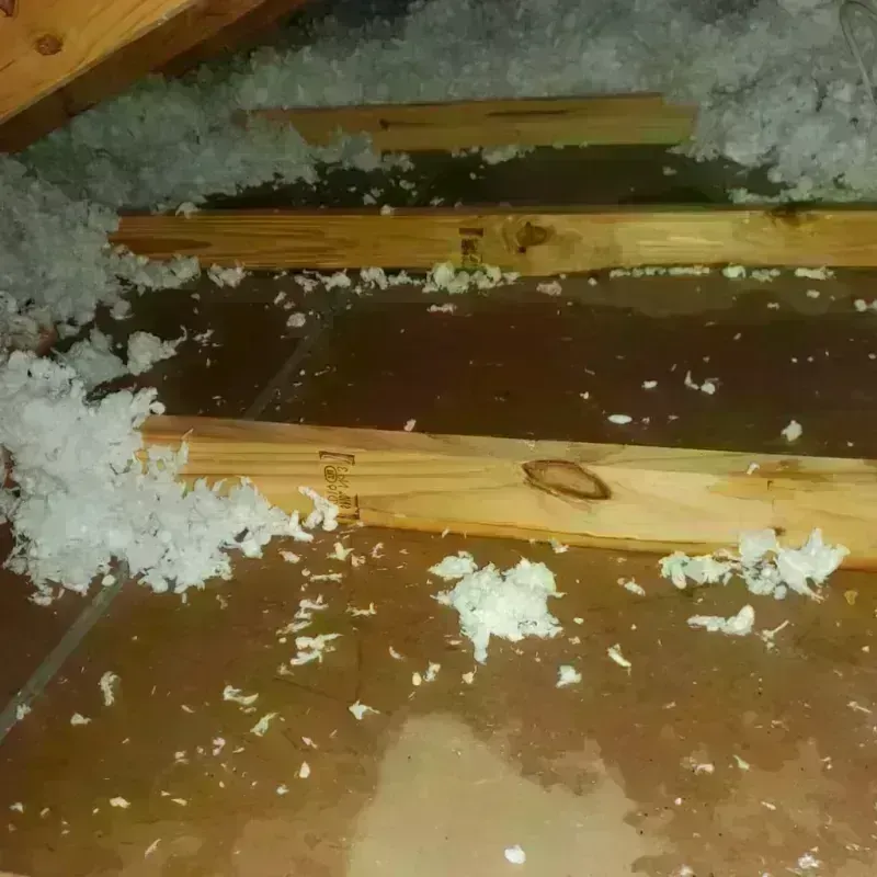 Attic Water Damage in Lynwood, CA