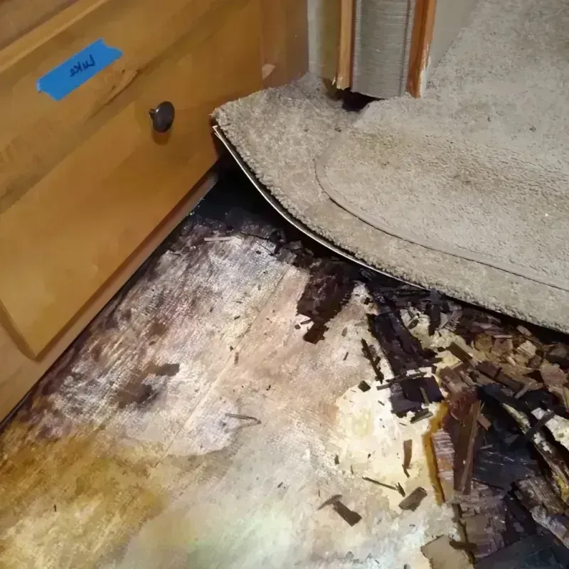 Wood Floor Water Damage in Lynwood, CA